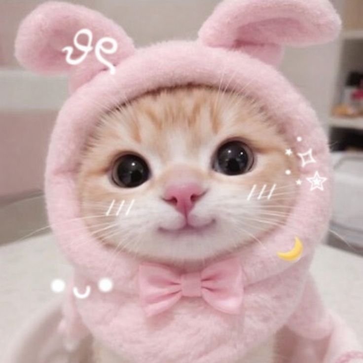 Adorable Cute PFP Images