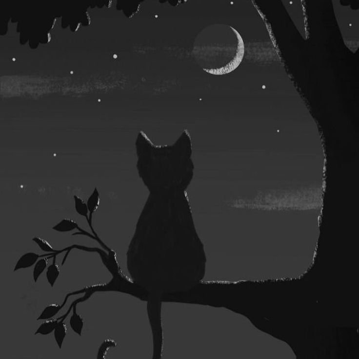 Aesthetic Black PFP For Instagram
