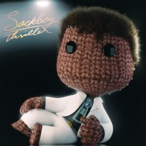 Aesthetic Sackboy PFP