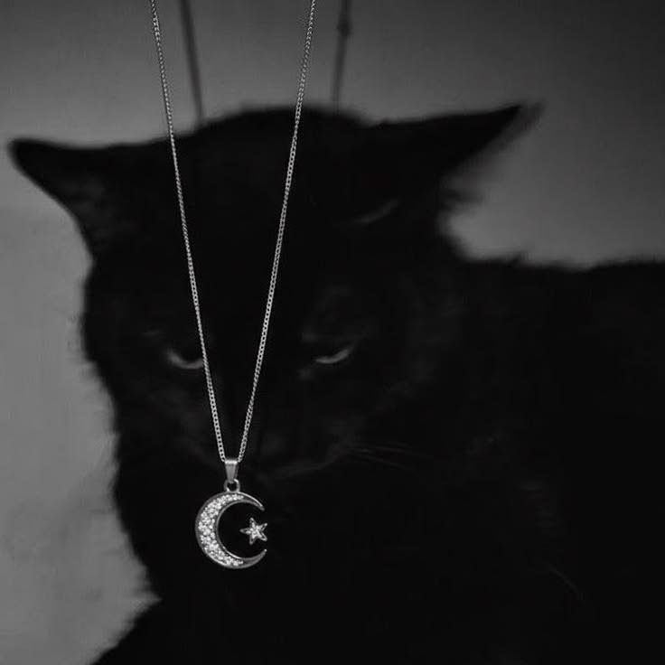 Black Pfp Aesthetic