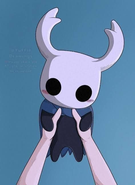 Cool Hollow Knight PFP