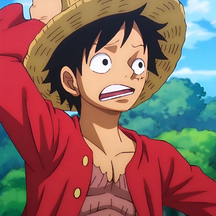 Cool Luffy PFP Boy