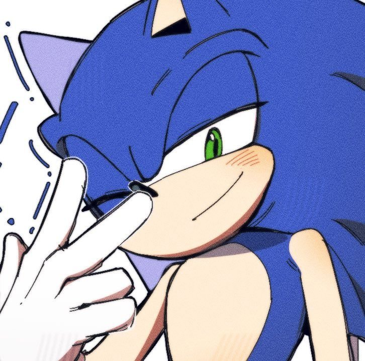 Cool Sonic PFP Anime