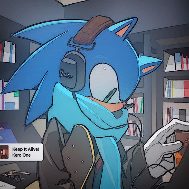 Cool Sonic PFP Anime