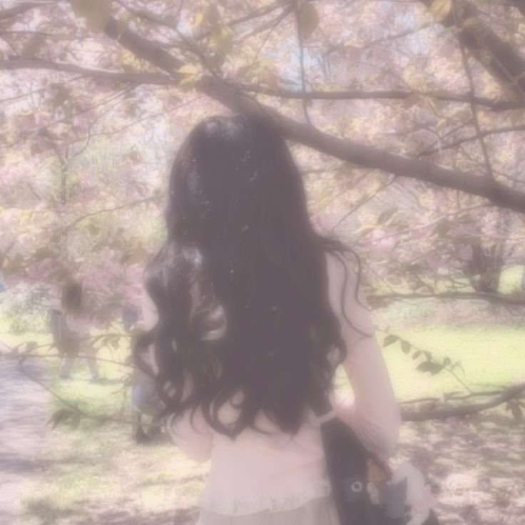 Coquette PFP Aesthetic