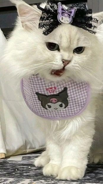 Cute Kuromi Cat Pfp