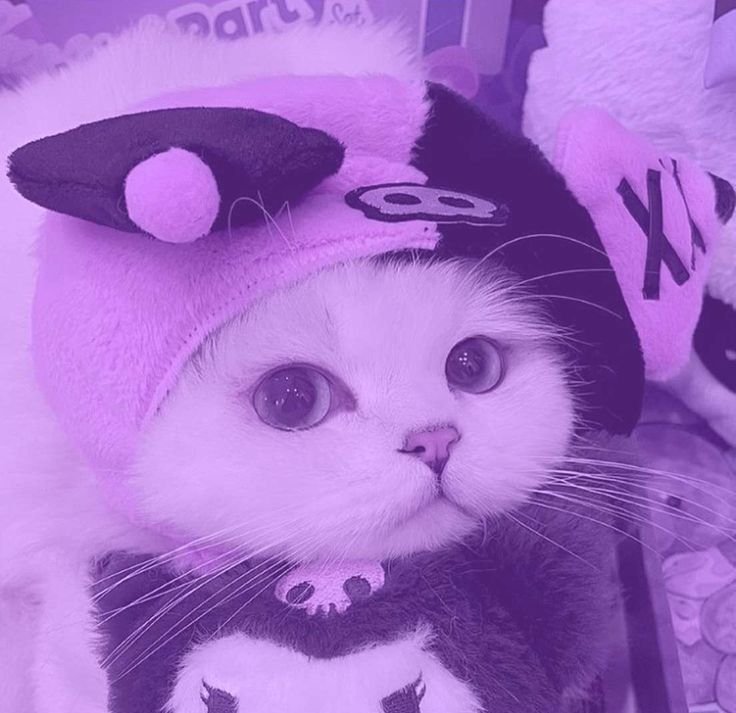 Cute Kuromi Cat Pfp