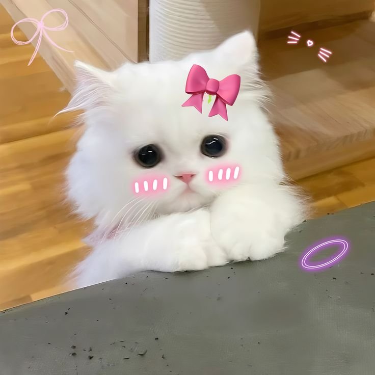 Cute PFP Aesthetic