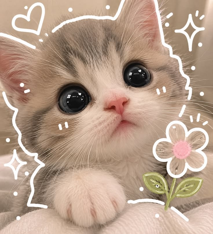 Cute PFP Images for Profile