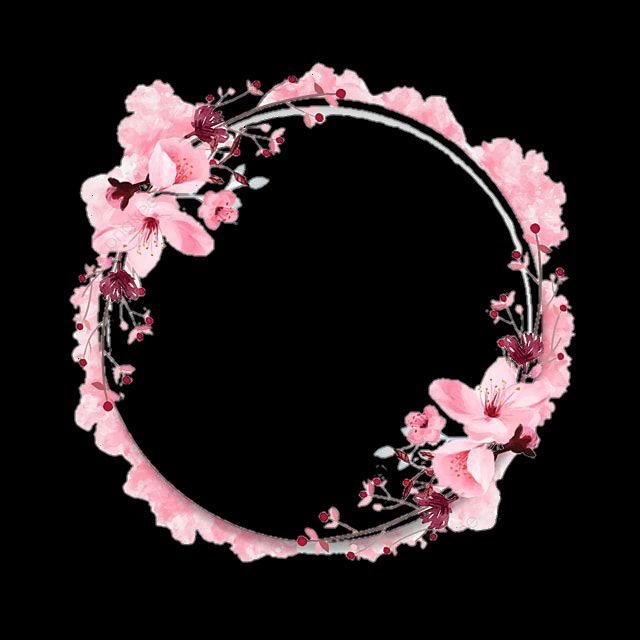 Cute Pink PFP Border