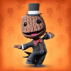 Cute Sackboy PFP