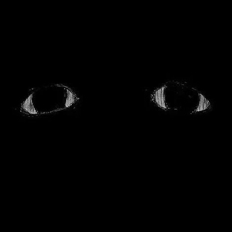 Full Black Pfp