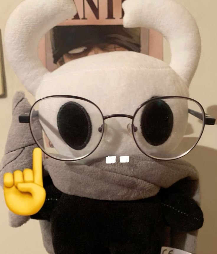 Funny Hollow Knight PFP