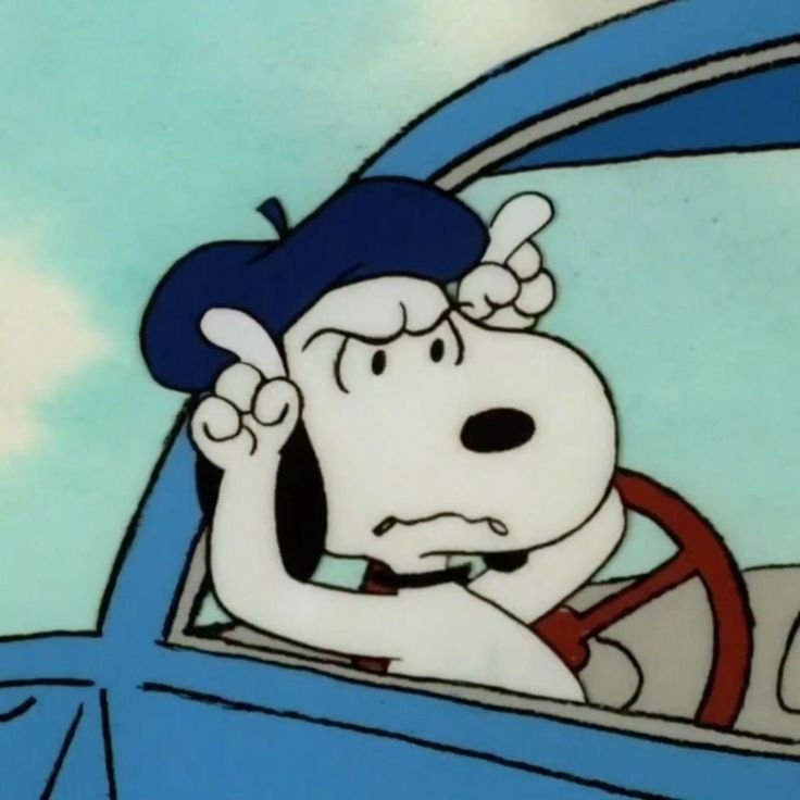 Funny Snoopy PFP Styles