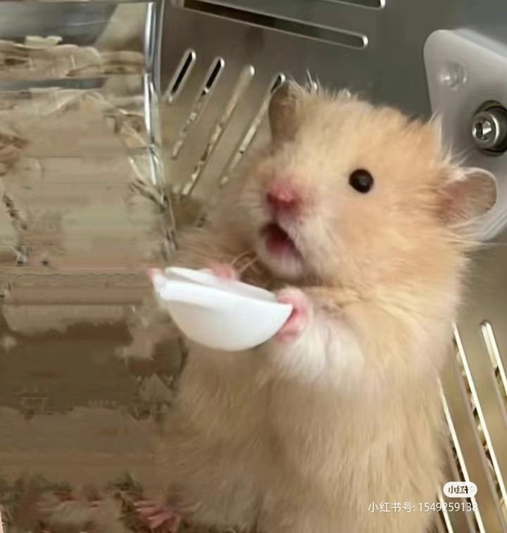 Goofy Hamster PFP