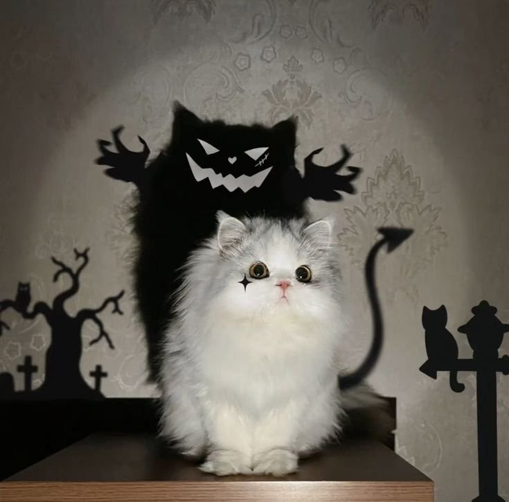 Halloween PFP Cat