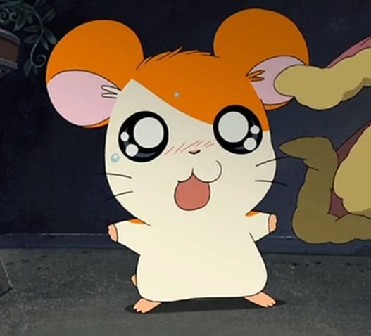 Hamster PFP Cartoon