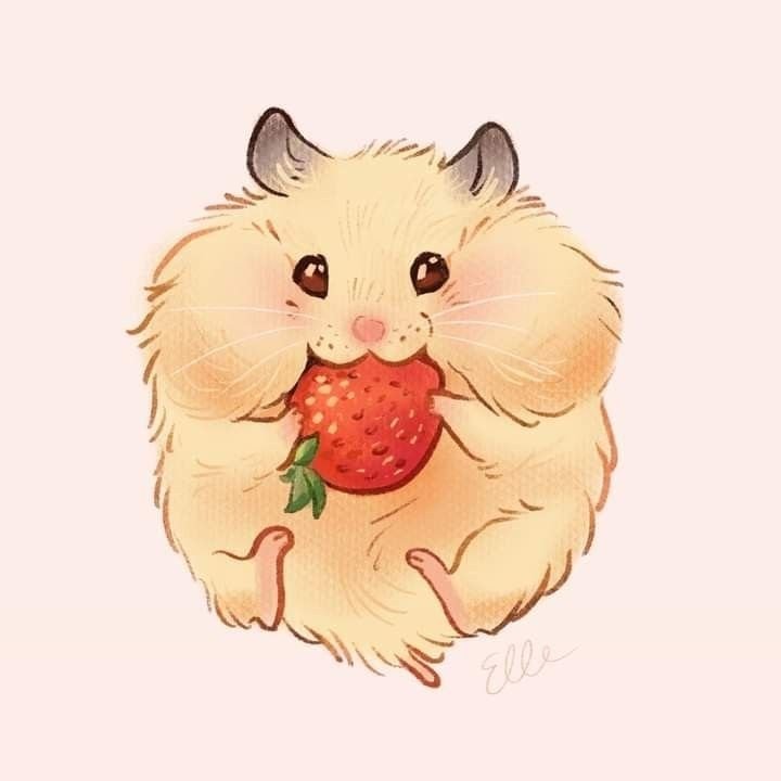 Hamster PFP Drawing