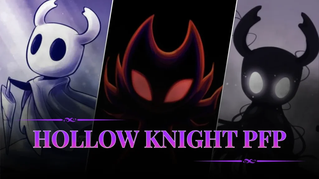 Hollow Knight PFP