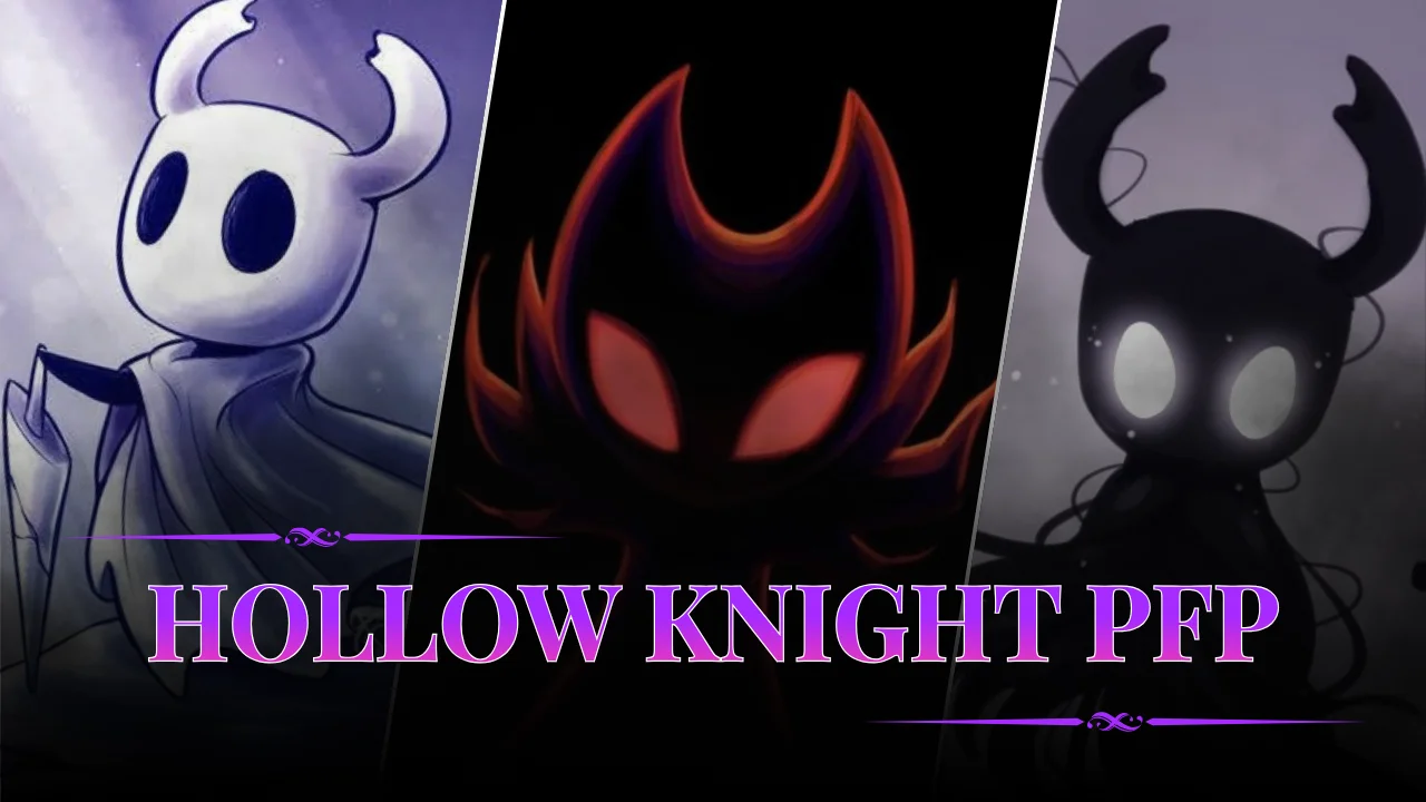 Hollow Knight PFP