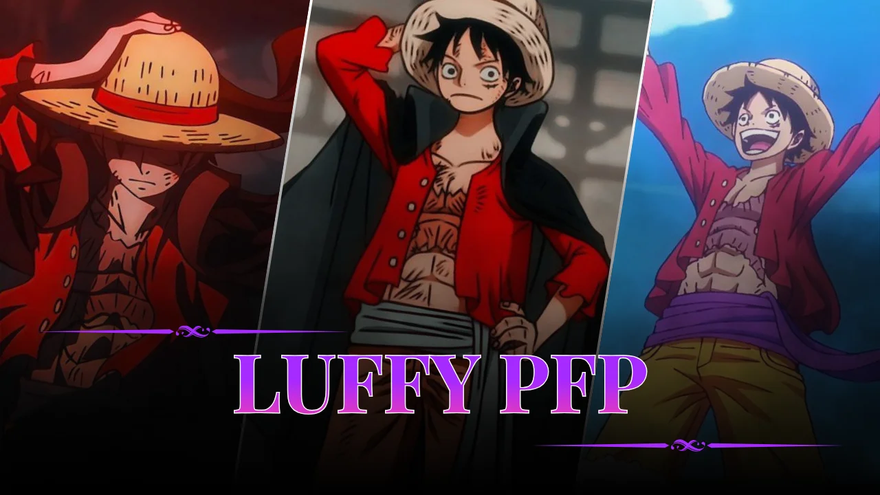 Luffy PFP
