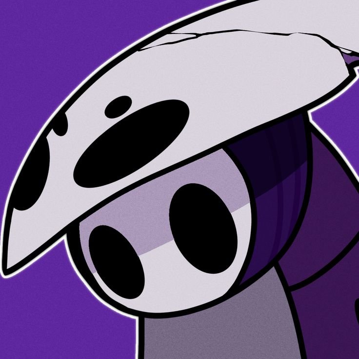 Quirrel Hollow Knight PFP