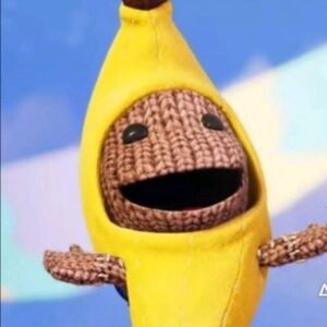 Sackboy Meme PFP