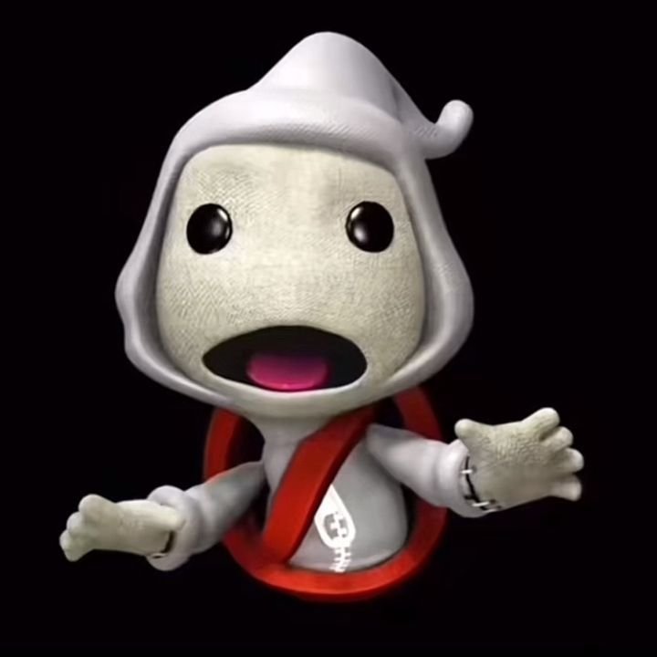 Sackboy PFP Tyler the Creator