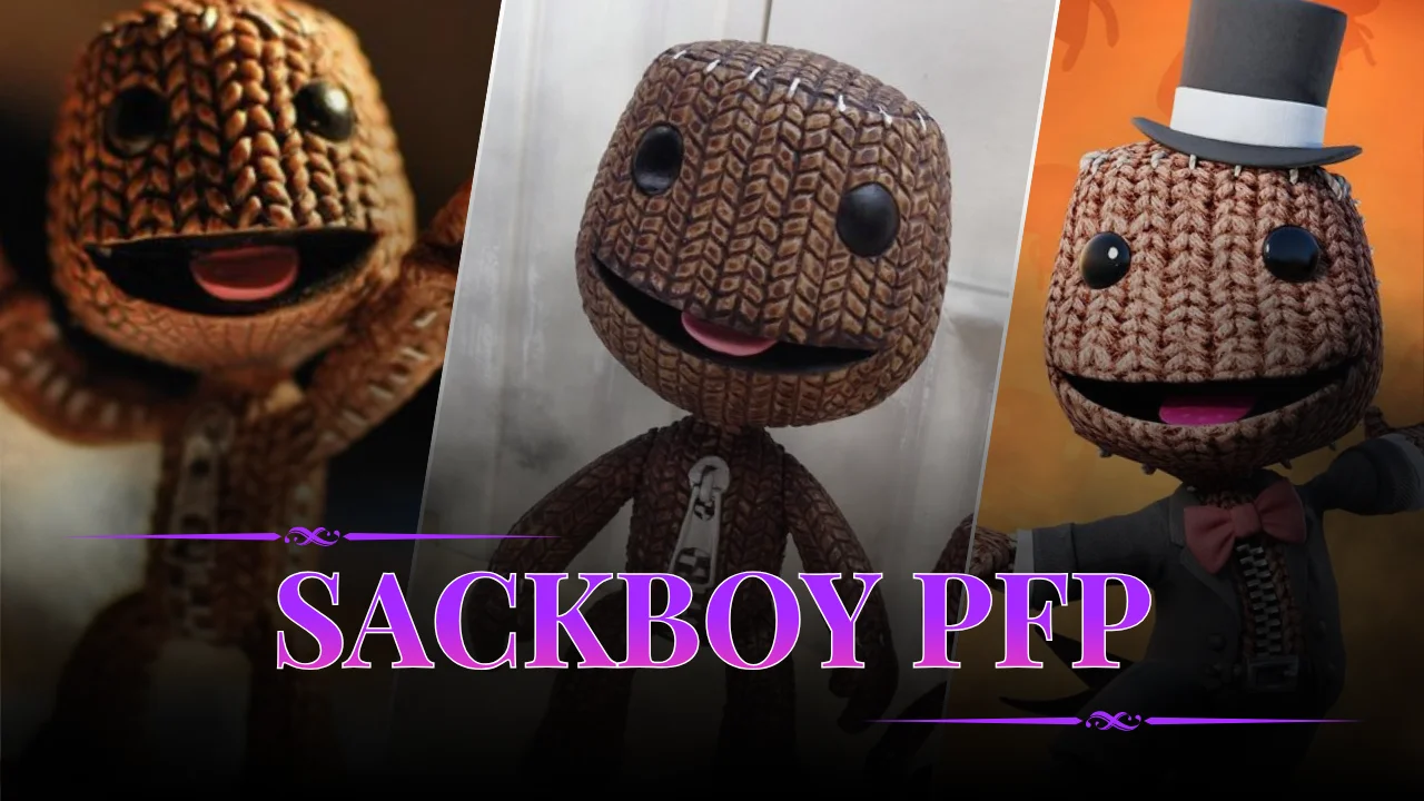 Sackboy PFP