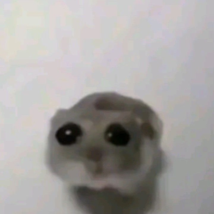Sad Hamster PFP