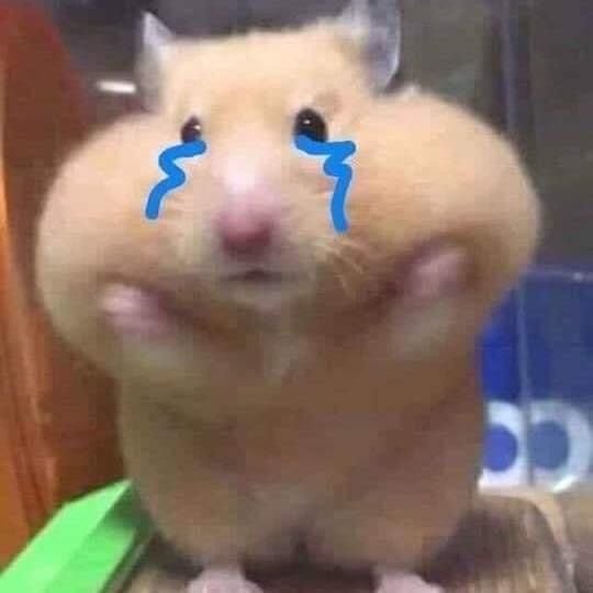 Sad Hamster PFP