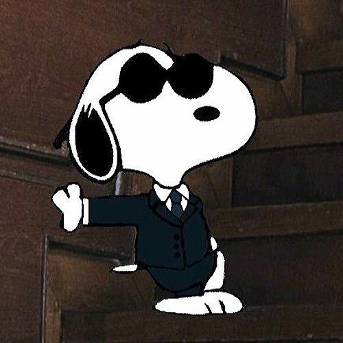 Snoopy PFP Aesthetic