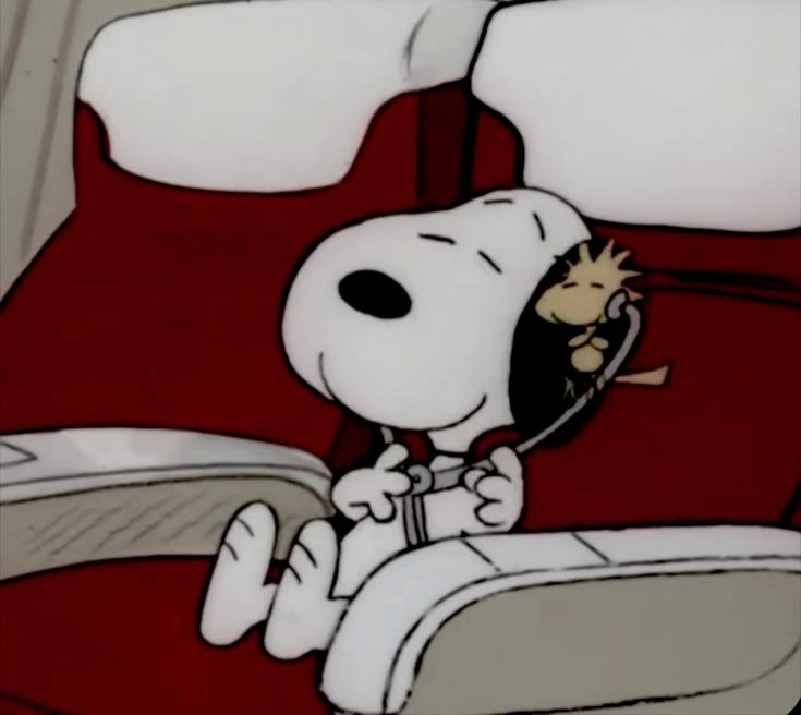 Snoopy PFP Aesthetic