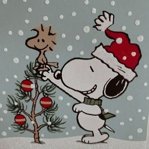 Snoopy PFP Christmas