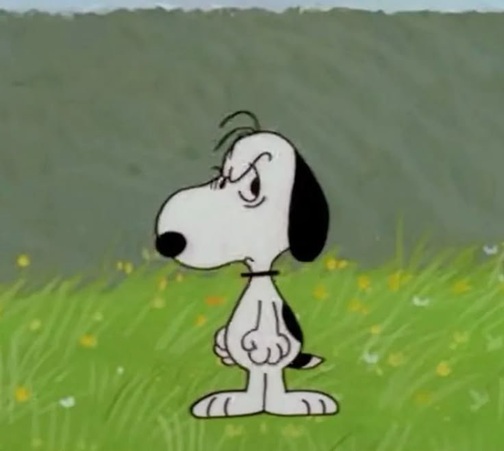 Snoopy PFP Funny