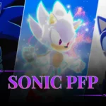 Sonic PFP