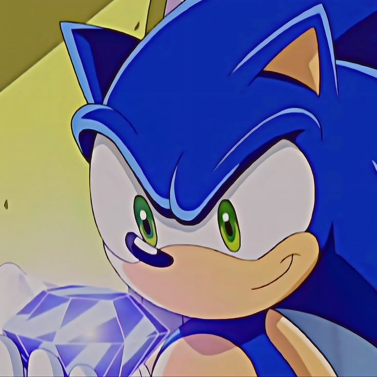 Sonic The Hedgehog Cool PFP