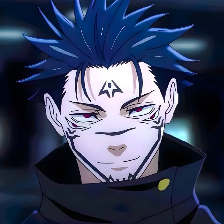 Sukuna PFP Megumi