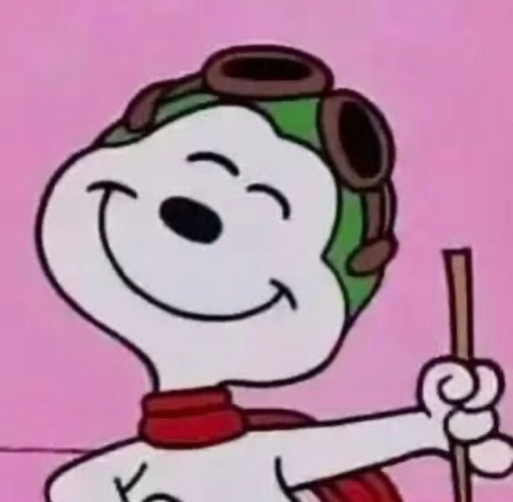 Y2K Cute Snoopy PFP Styles