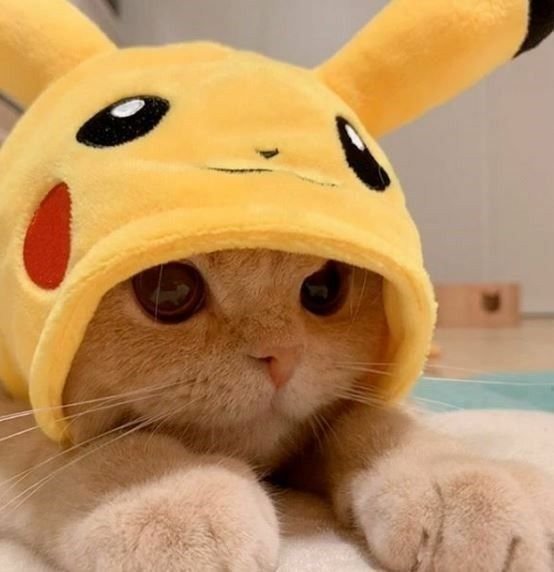 Yellow Discord PFP