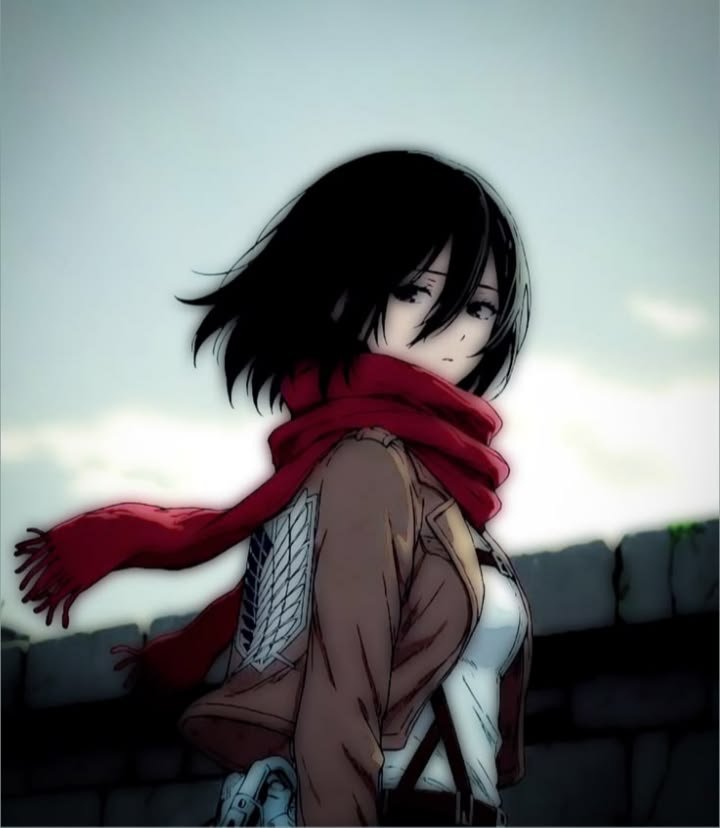AOT PFP Aesthetic