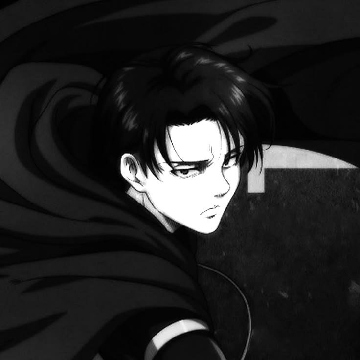 AOT PFP Black And White