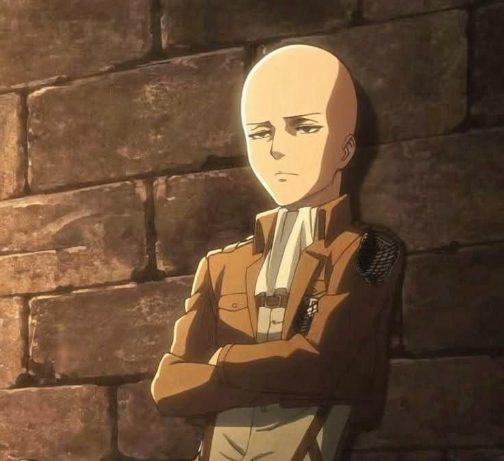 AOT PFP Funny