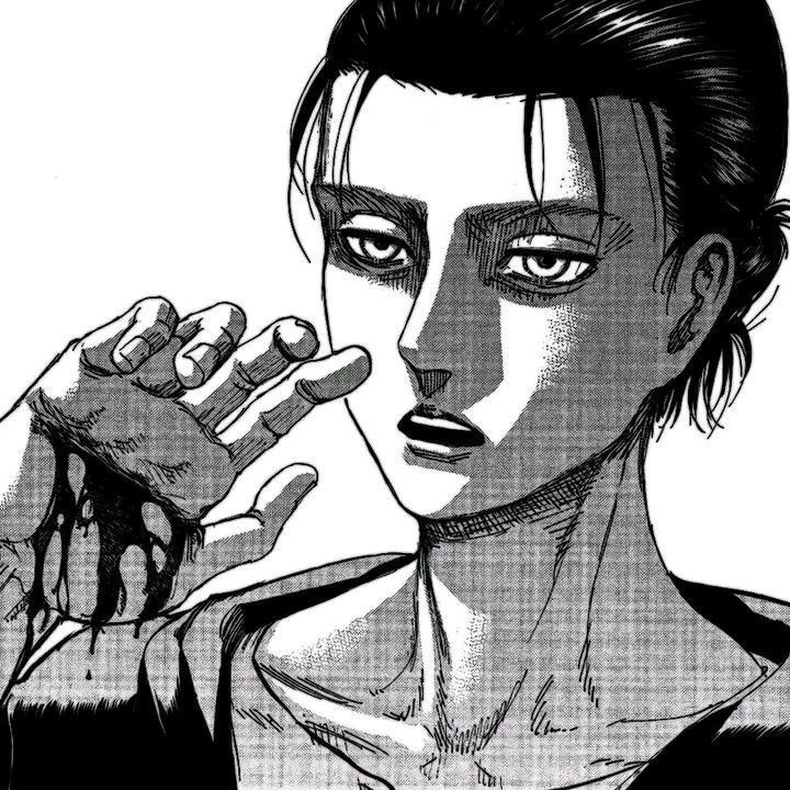 AOT PFP Manga