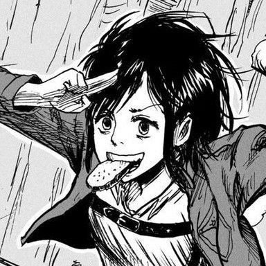 AOT PFP Manga