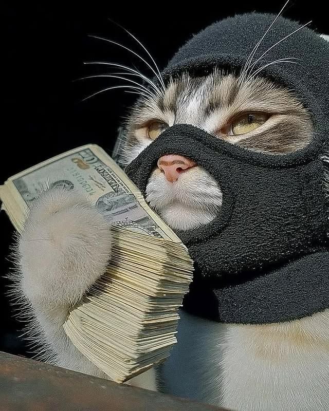 Aesthetic Money PFP