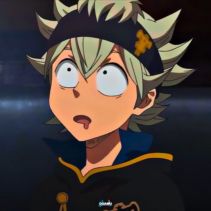 Asta PFP Anime