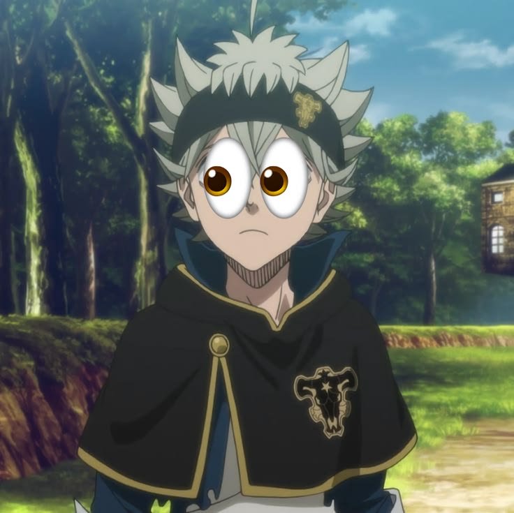 Asta PFP Funny