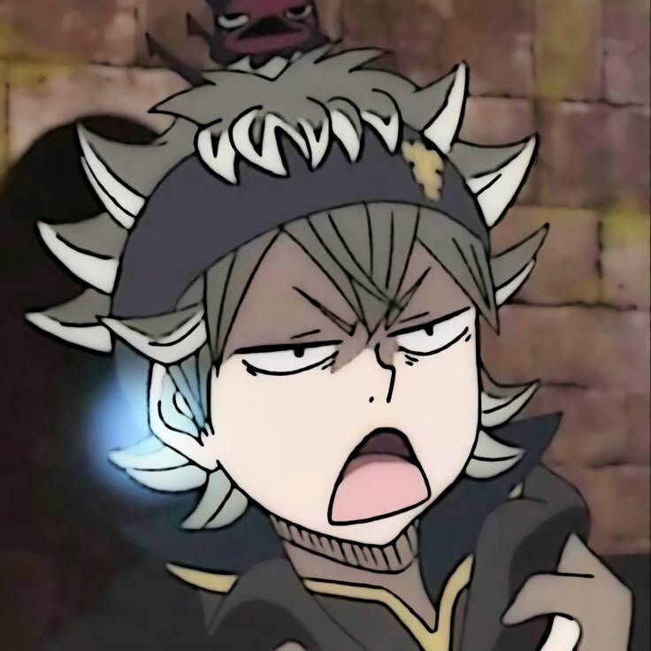 Asta PFP Funny