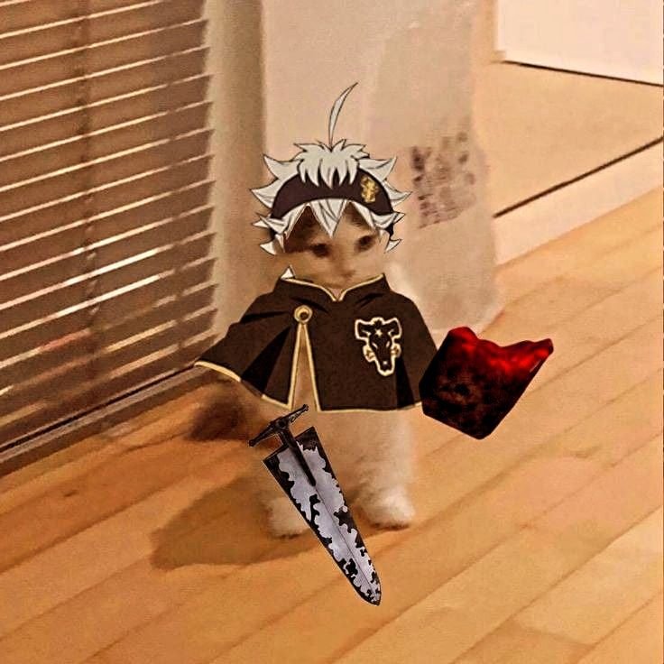 Asta PFP Meme